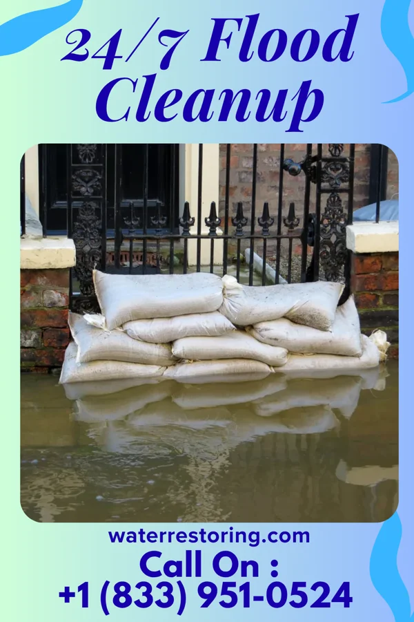 24/7 Flood Cleanup in Zionsville, IN