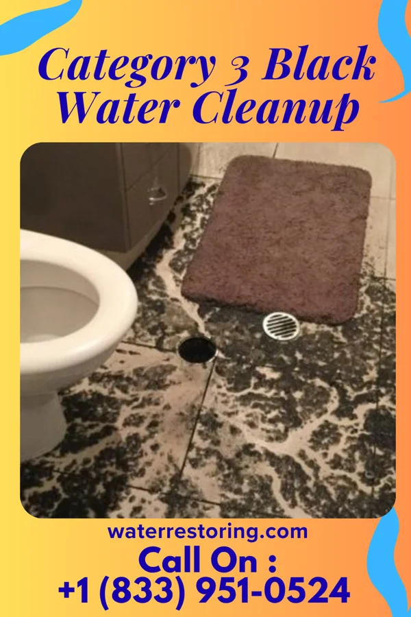 Category 3 Black Water Cleanup in Zionsville, IN