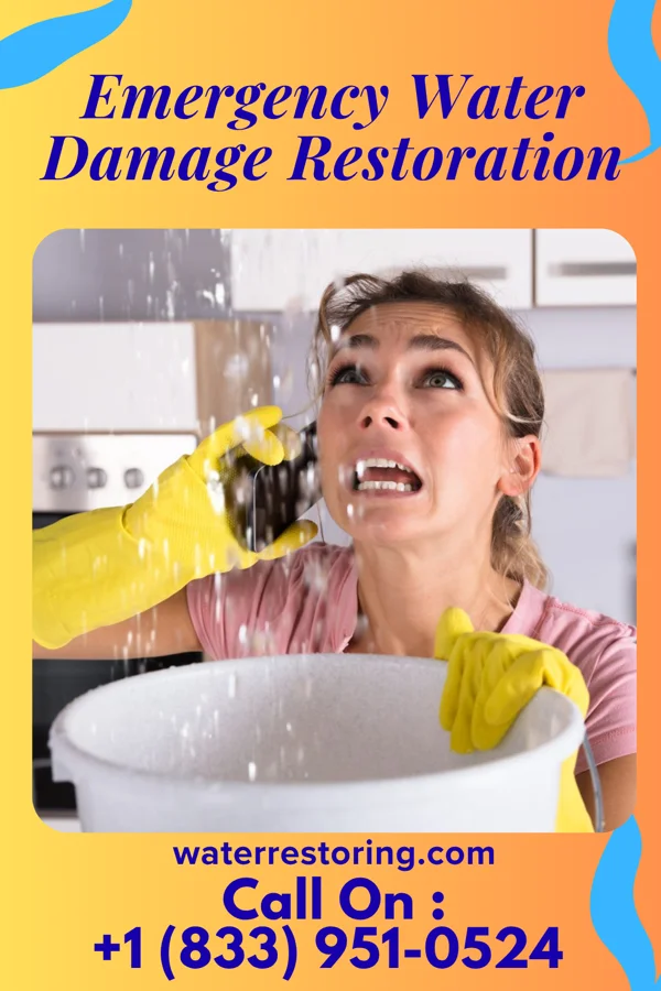 Emergency Water Damage Restoration in Zionsville, IN