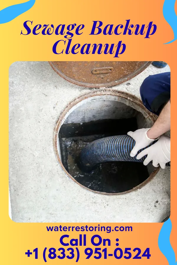 Sewage Backup Cleanup in Zionsville, IN